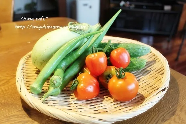 æ¡ããã¦ã®éèï¼é ãããããã§ä½ã£ããï¼ | ã¨ãã¾ã¾ã®æ°ã¾ã¾ãªæ¥è¨ #エマままの気ままな日記|エマままさん