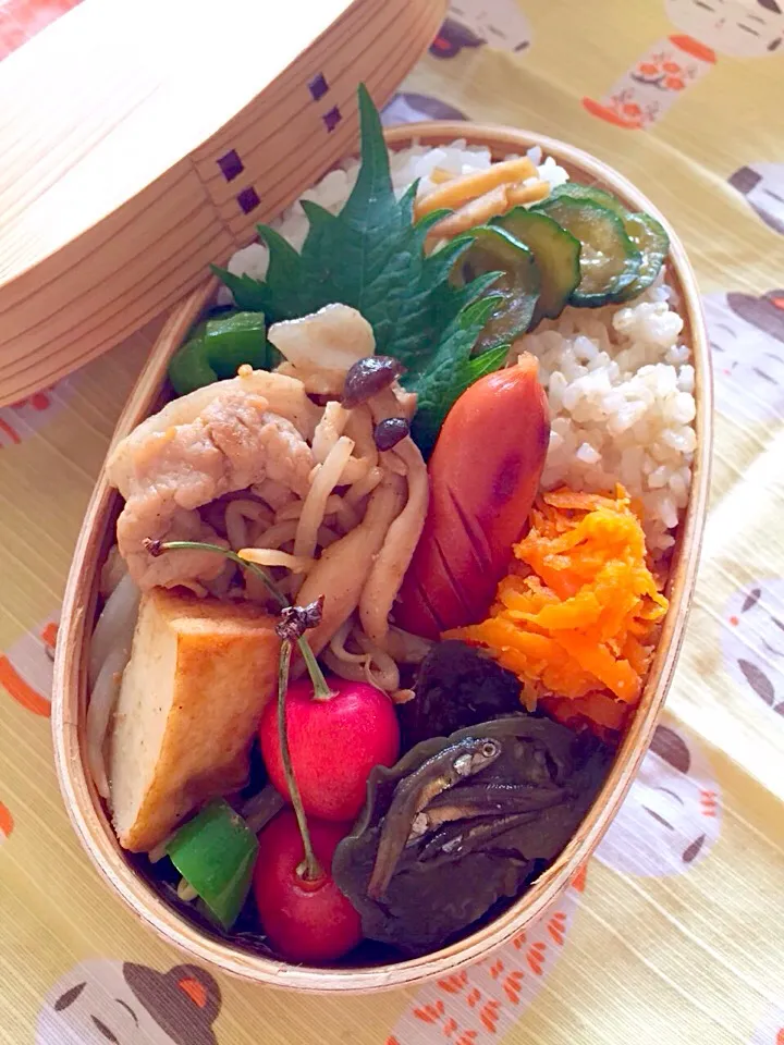 18娘弁当 今日は厚揚げと豚肉野菜の焼き肉タレ味とか(*^_^*)
ご飯は白米と玄米の２色ご飯|愛ママさん