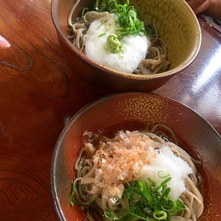 今庄 おろし蕎麦、ワサビとろろそば|misachiさん