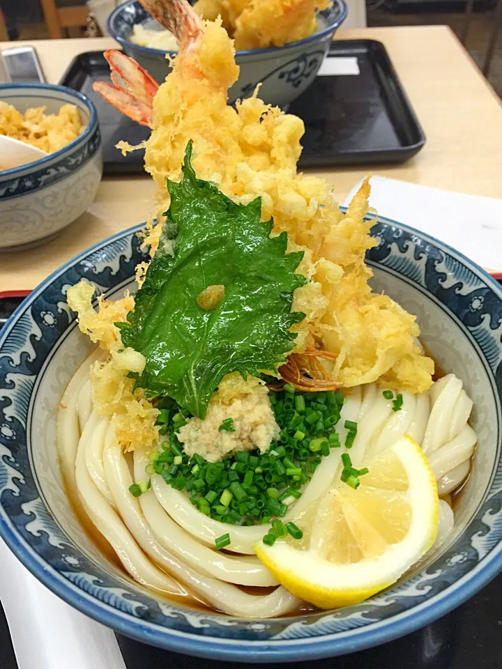 エビ天ぶっかけうどん|Hideさん