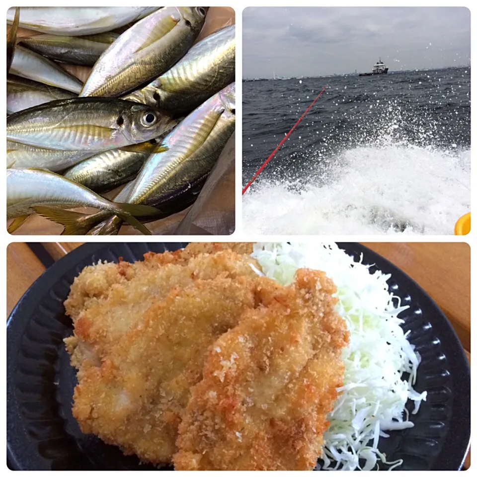 初の船釣り🎣鯵フライ|たまこっこさん