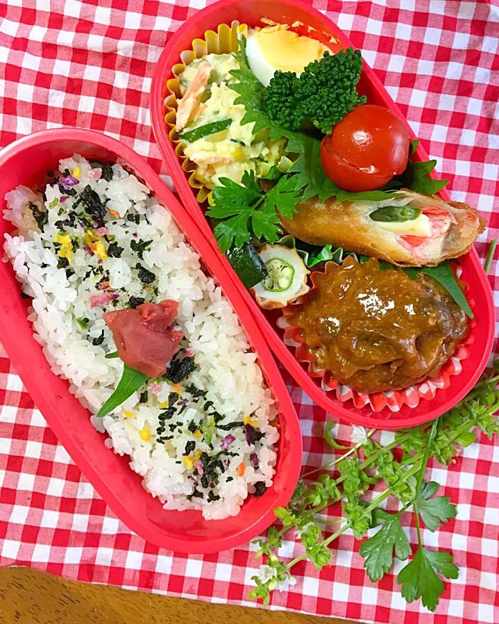 Snapdishの料理写真:ハンバーグのお弁当|Mikaさん