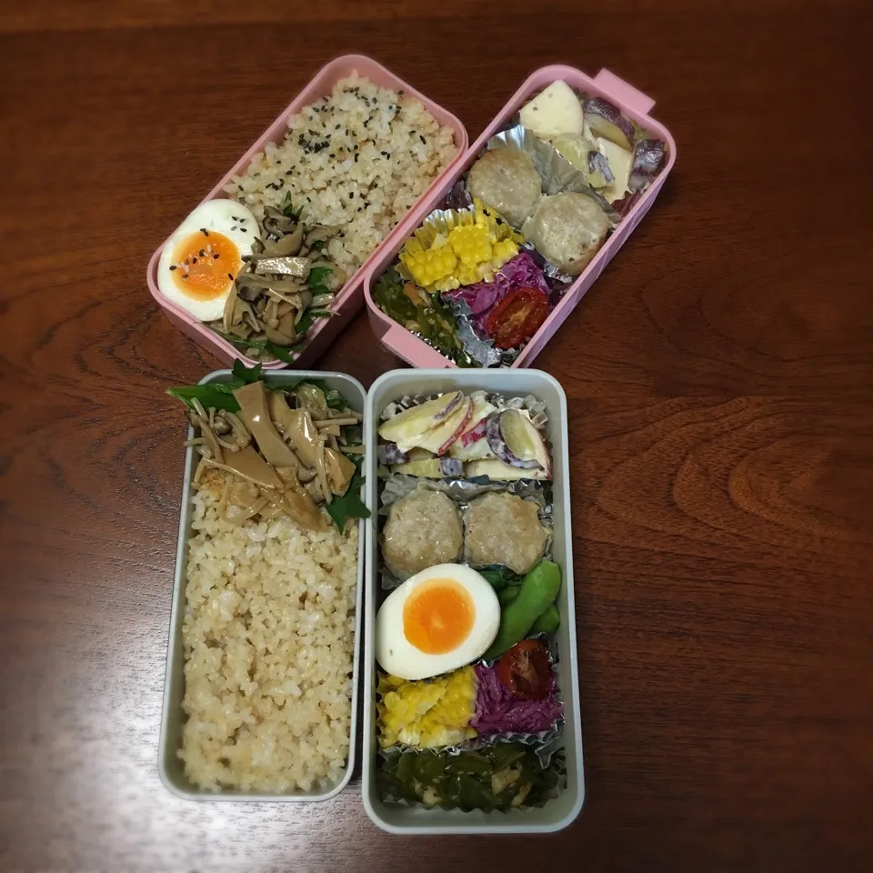 Snapdishの料理写真:7/25 お弁当|もっちさん