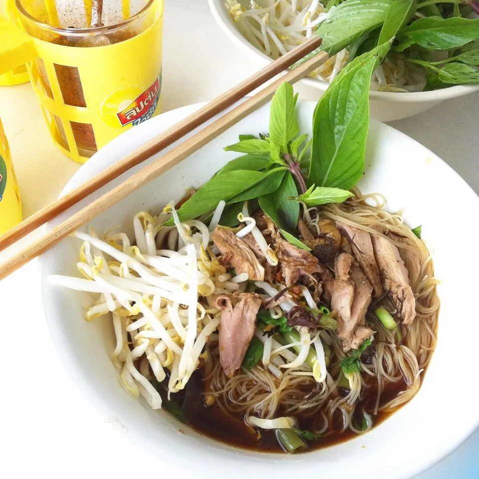 Snapdishの料理写真:Stewed duck noodles soup #eatinthai|Eat in Thaiさん