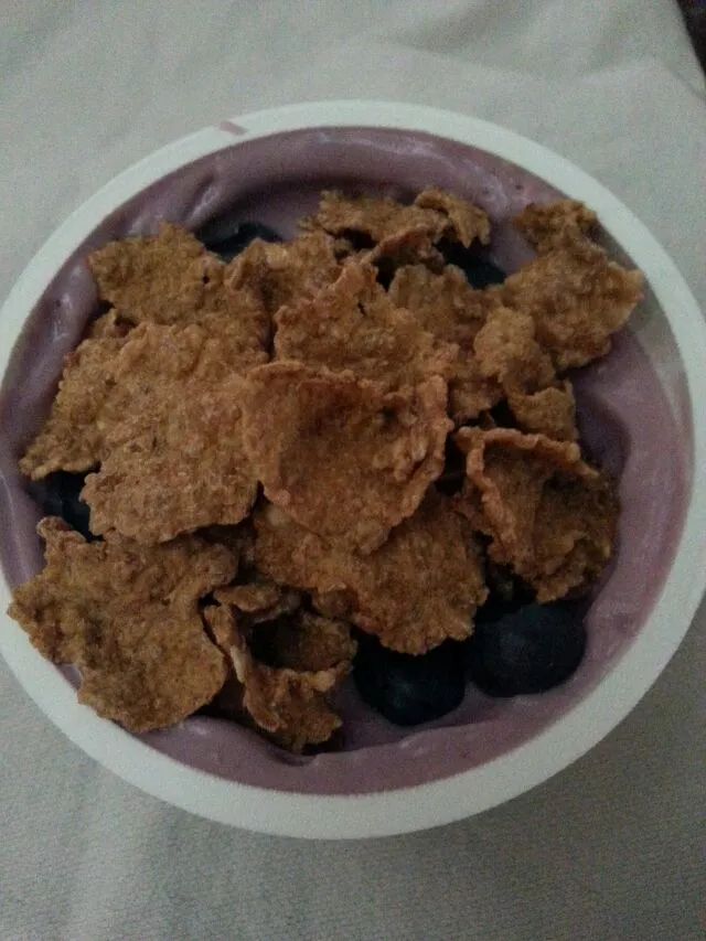 blueberry yogurt with fresh blueberries and sweet potato flakes.|Polly Gelfusoさん