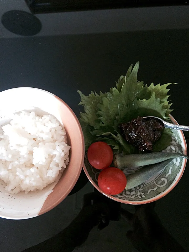 Snapdishの料理写真:ごはんと紫蘇と肉味噌|akiraさん