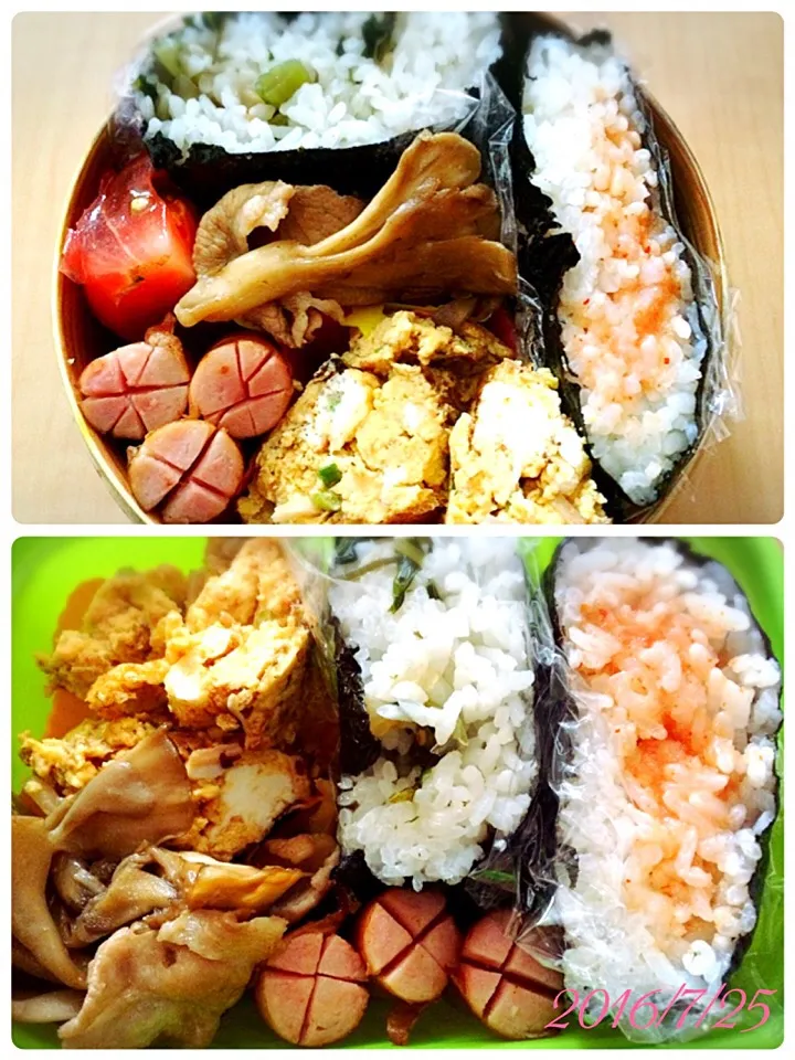 今日のお弁当◡̈⃝|shijuさん