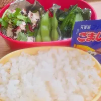 Snapdishの料理写真:夏のお弁当|yuukiさん