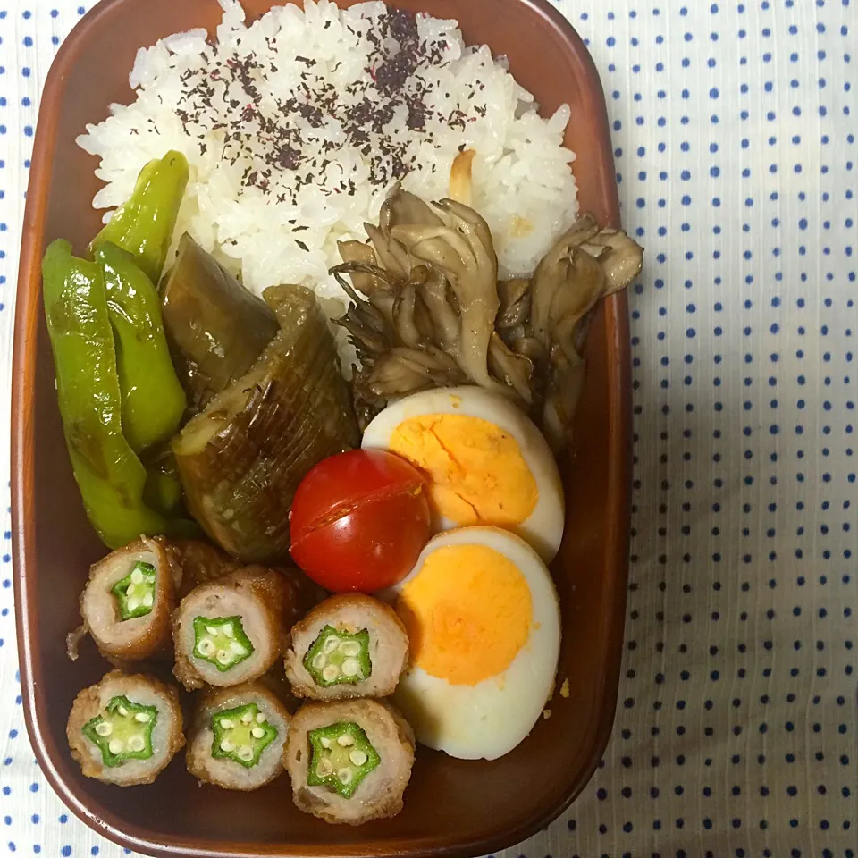 Snapdishの料理写真:和食弁当|しょうこさん