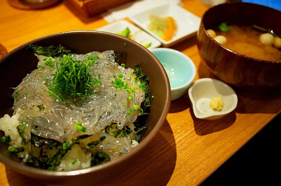 生しらす丼 熱海|DAIさん