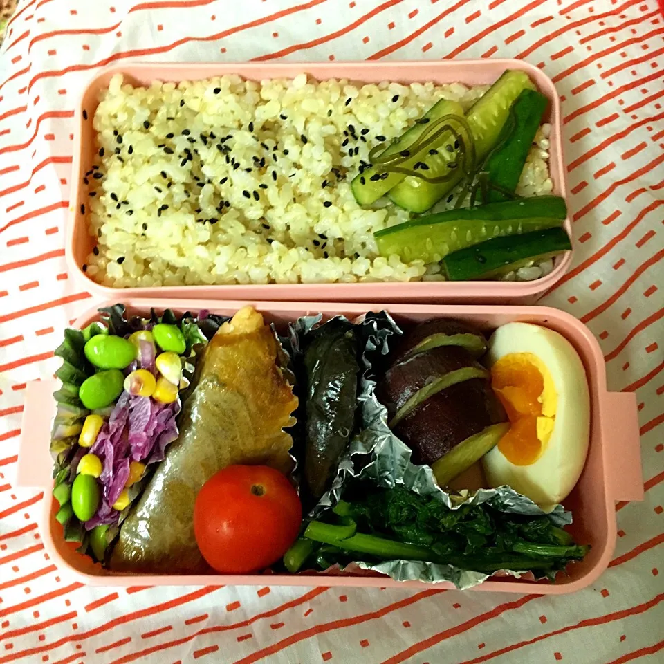 Snapdishの料理写真:7/27 お弁当|もっちさん