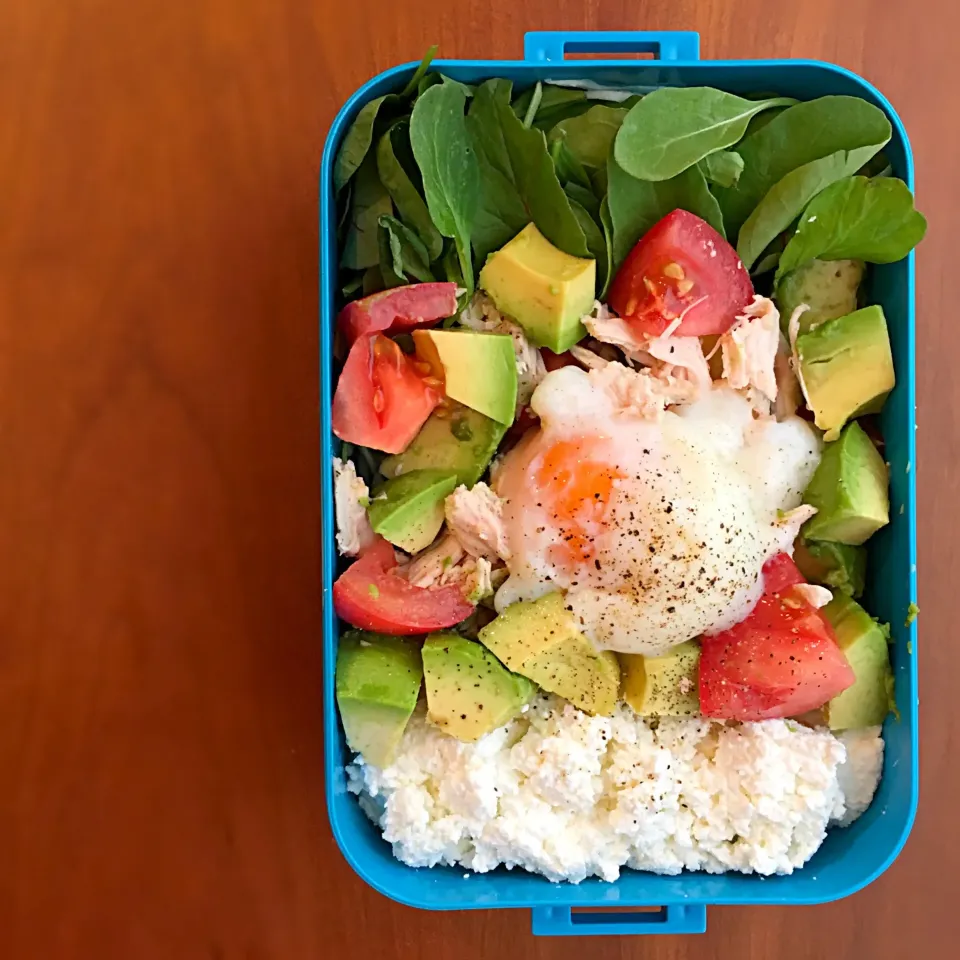 Snapdishの料理写真:私のダイエット‼︎ヘルシー弁当♪ 20160727|Youさん