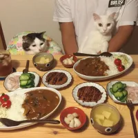 Snapdishの料理写真:夏野菜カレー♩
初めて漬けたラッキョが美味しくできあがった♩|naouさん