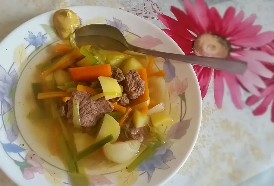 Homemade vegetable soup with softly cooked meat (Siedfleisch)|Najeskaさん