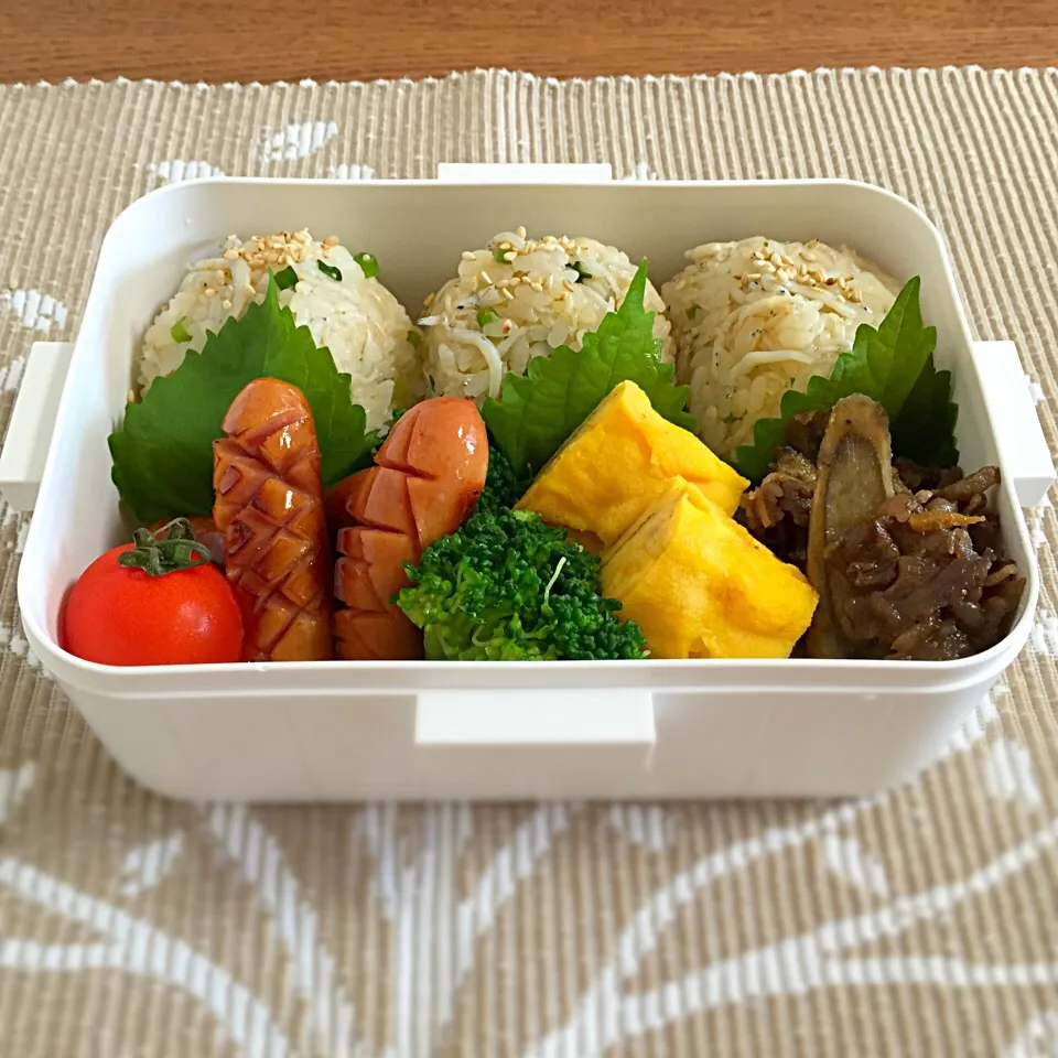 今日の旦那様お弁当(◍•ᴗ•◍)
しらすおにぎりおべん〜|あさこさん