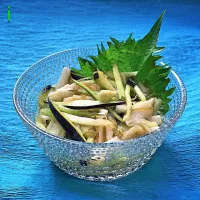 茄子トロロん 【Eggplant salad thickened by Chinese yam and seaweed】