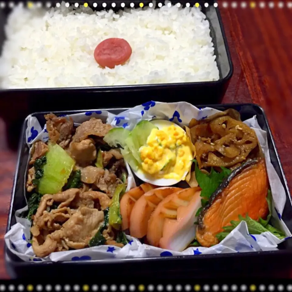 Snapdishの料理写真:男子高生弁当🍱豚肉とチンゲン菜の炒め・ゆで卵カップサラダ・レンコンきんぴら・かまぼこ・鮭|nobさん