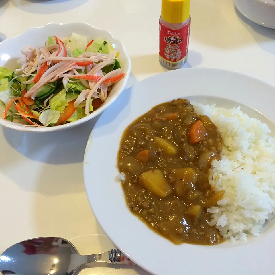 夏はカレーだね♡2016/07/29|ちび太さん