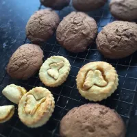 Jam pastry and chic chic cookies|Kaitlyn Louise Coughlanさん