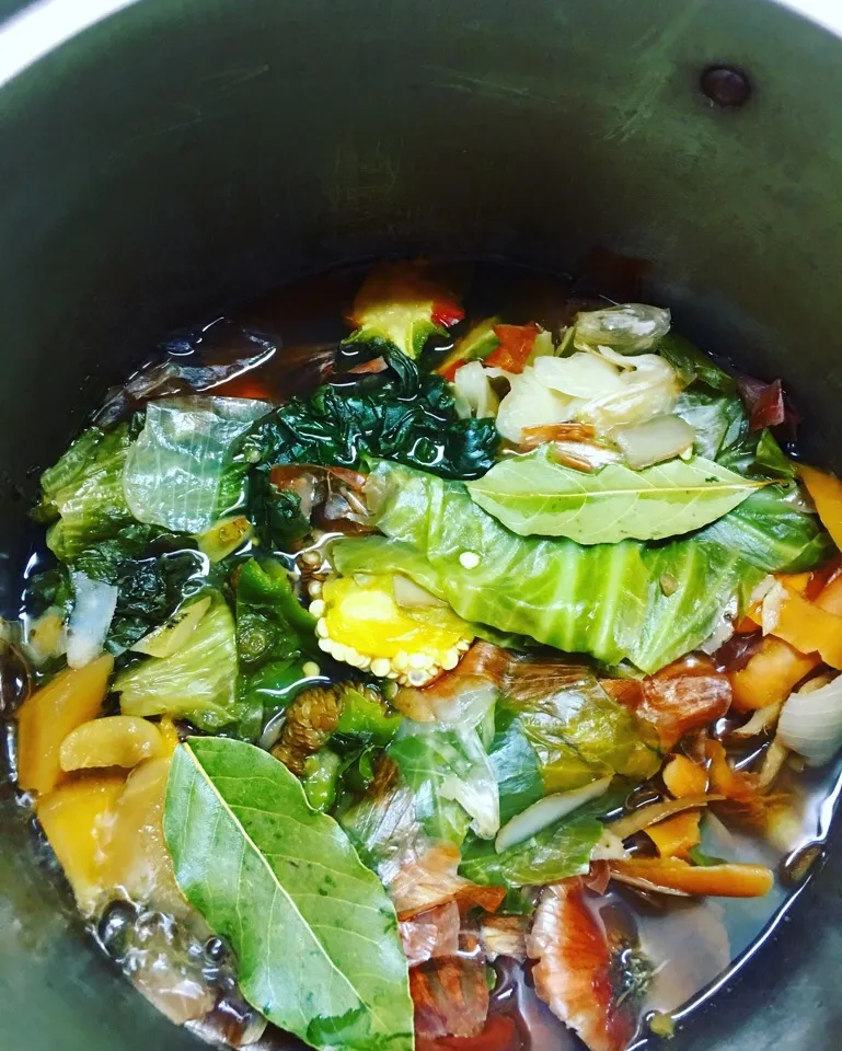 Vegetable Broth
ベジブロス|NikkyLoveさん