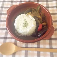 Snapdishの料理写真:夏野菜カレー(ゴーヤ入り！)|ayaconさん