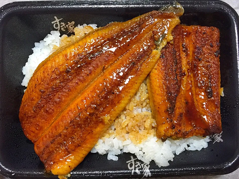 Eel fish|stephanieさん