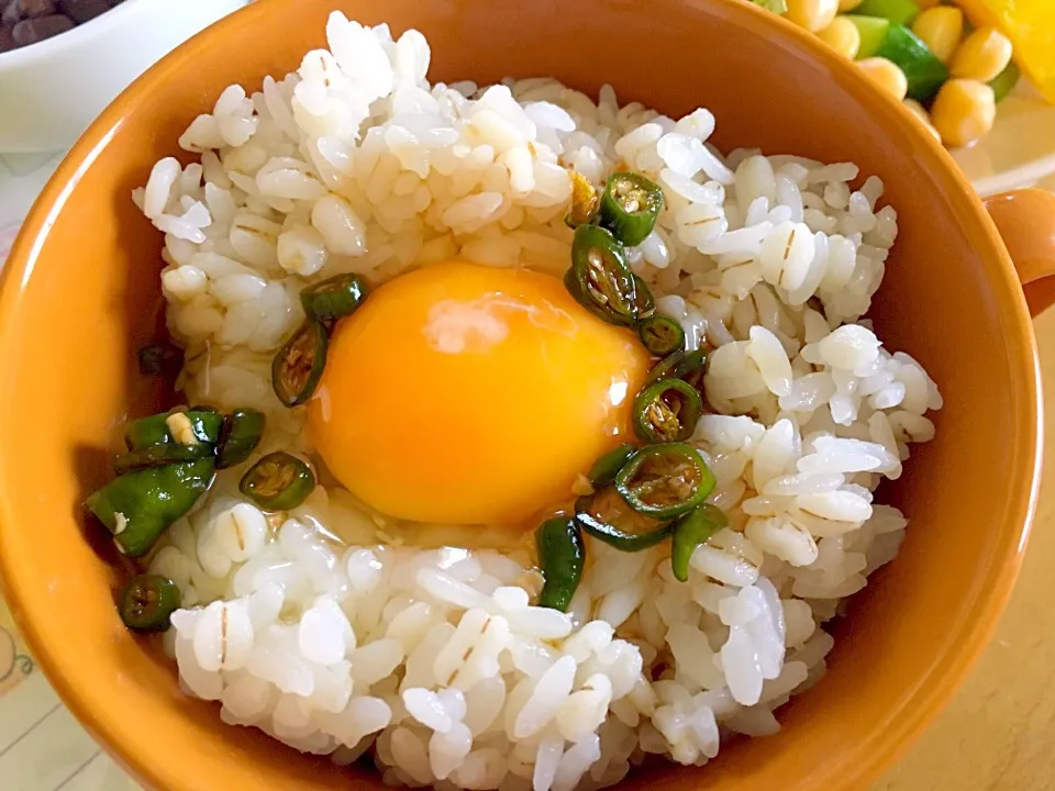 青唐辛子醤油で卵ご飯🍚|かわちさん