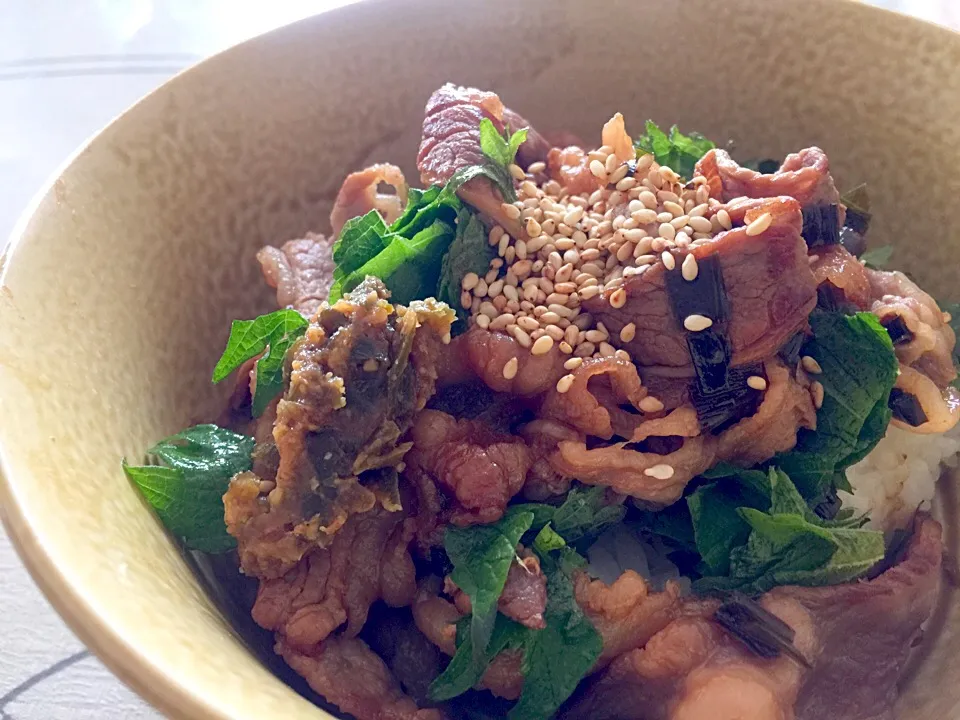 Snapdishの料理写真:松澤美穂さんの料理 やっぱりあれでしょう！！ニラのあれ！！DEスタミナ丼😊 牛肉をニラと醤油でジャカジャカ炒めるだけ、5分で完成‼️|tabyさん