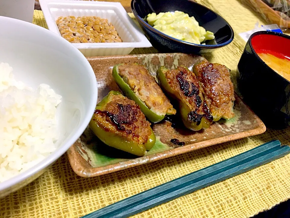 ピーマンの肉詰め＆キャベツと茹で卵のサラダ|もひらさん