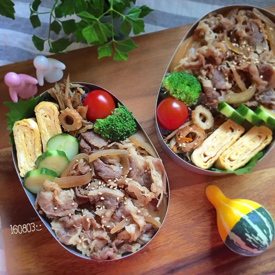 夫婦弁当🐂🐃がっつり牛丼|さと⋆さん