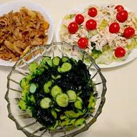 Snapdishの料理写真:our lunch.. #cabbbage ,sasami & tomato salad #stamina meat..cucumber & wakami sour salad..good for summer.