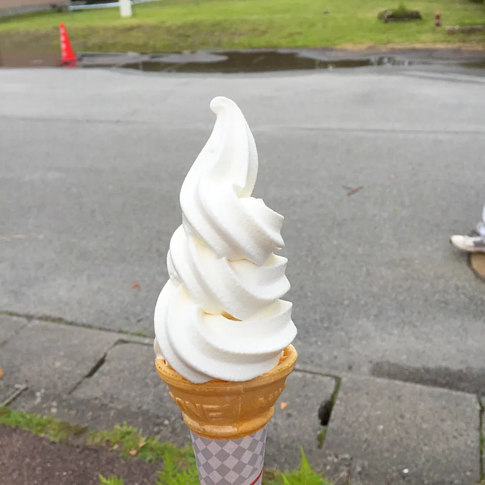 8/3❤︎山梨県立まきば牧場公園＊高原ソフトクリーム❤︎|Makinsさん