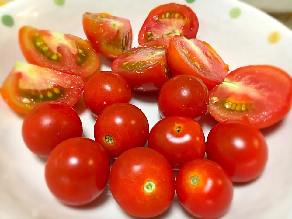 得意先の庭で採れたトマトをお土産にいただきました😀
甘くてジューシーです🍅|ゆうじ.さん