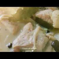 豆乳で鶏肉の簡単クリーム煮|まっちゃさん