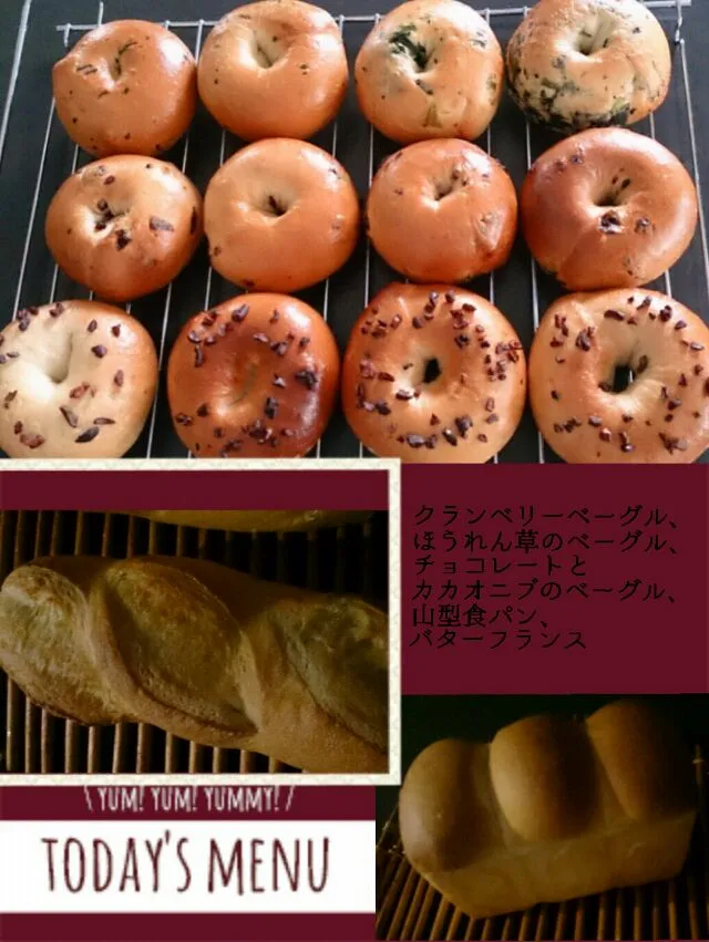 ３種類のベーグル、バターフランス、山型食パン|Yoshieさん