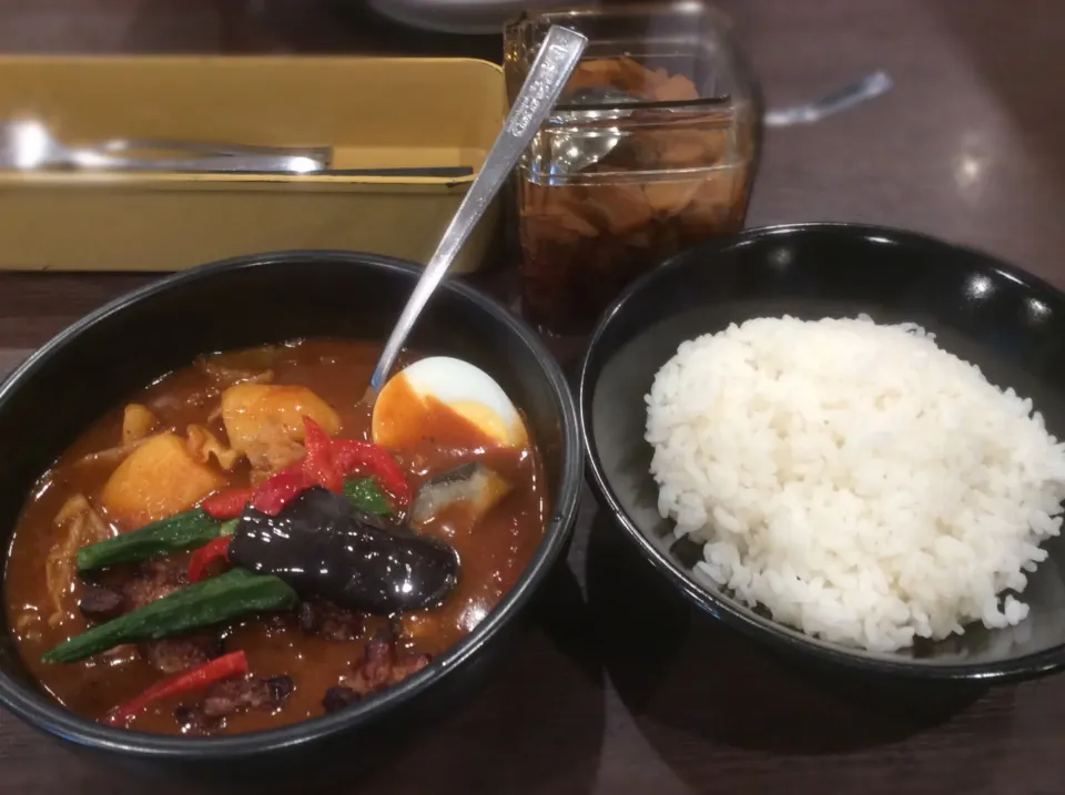 CoCo壱番屋スープカレー(初)😻|アライさんさん