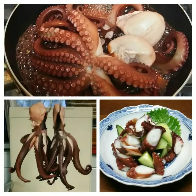 🐙いただきました🎵|あらいぐまのしっぽさん