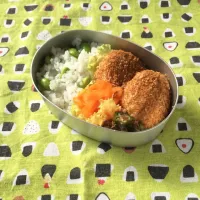 女子大生の手作りお弁当☺️|もこさん