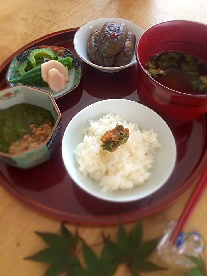 めかぶ納豆と夏野菜で朝ご飯|acoさん