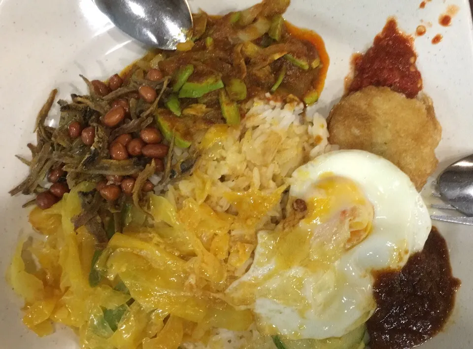 Nasi Lemak @ Putri Hayyu|Ong Sor Fernさん