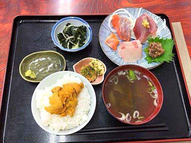 ミニうに丼・刺身定食@石巻「洸洋」|misaoさん