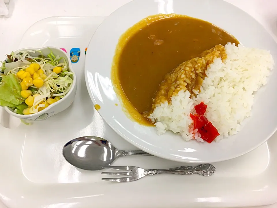 4日目昼食|mさん