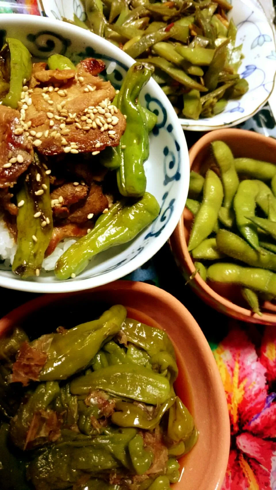 手前からししとうの煮物、ししとうと豚肉のポン酢炒め丼、枝豆、ささげの金平。ししとうと枝豆とささげは頂き物！|あまねさん