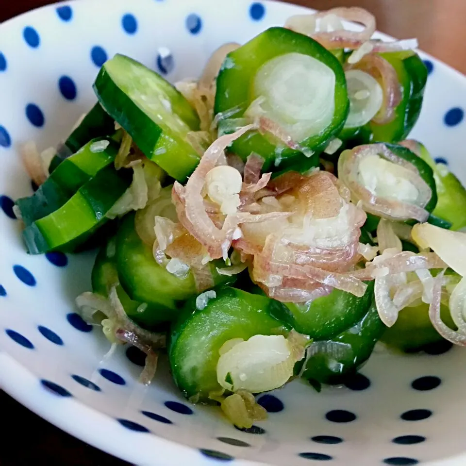 茗荷ときゅうりの浅漬け|ふりるさん