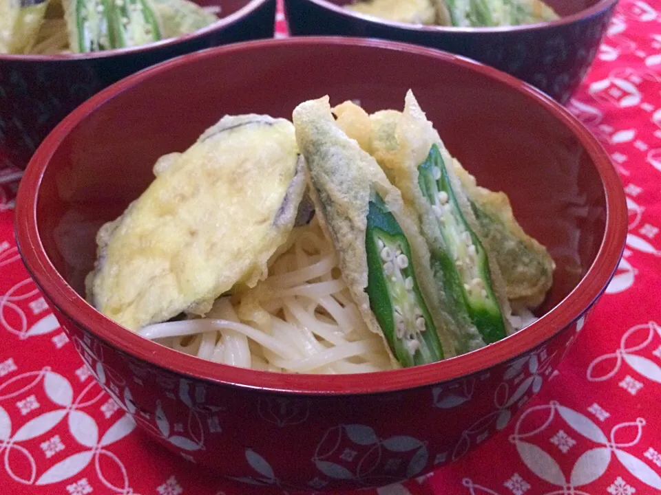 野菜天ぶっかけうどん|Hiromi  Nobaさん