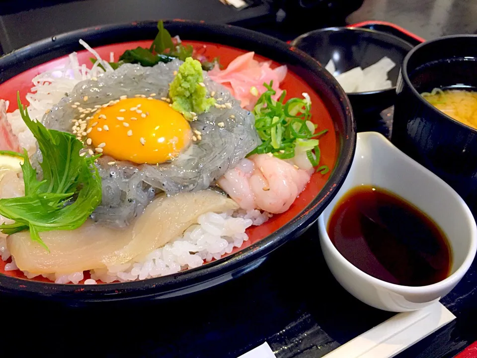 淡路島〜〜
生しらす丼 🐟|Loveミニーさん