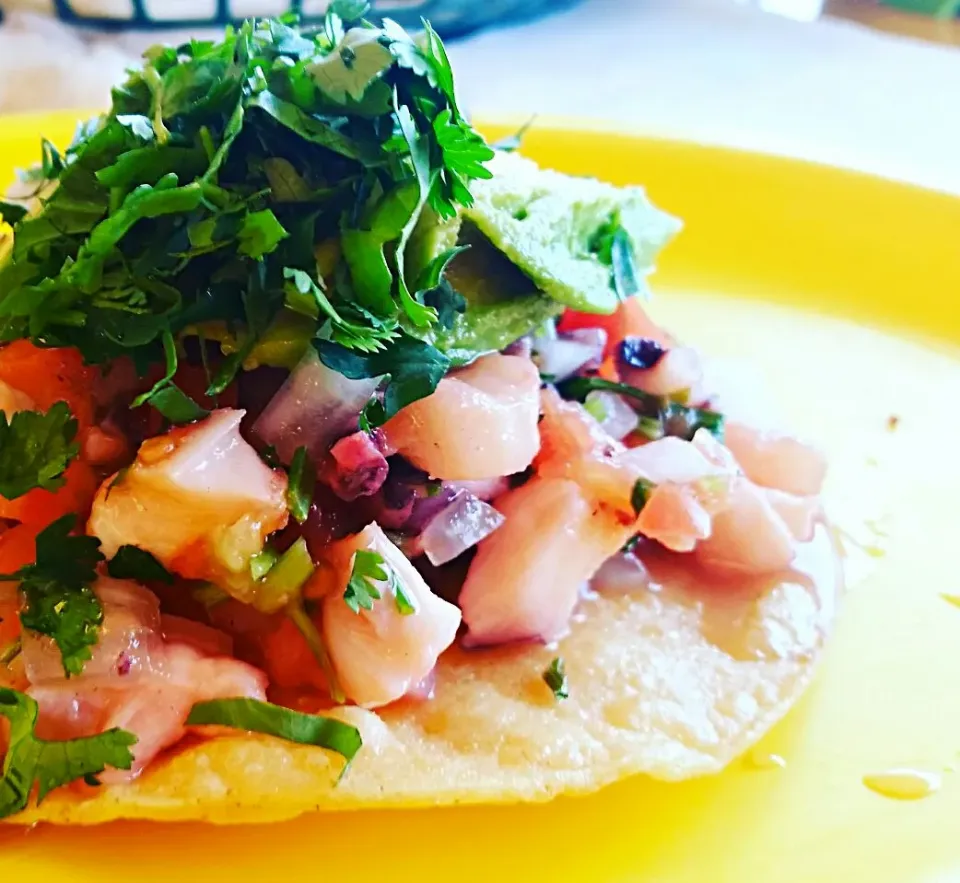 Octopus Tostada for Sunday night dinner!|Jihollandさん