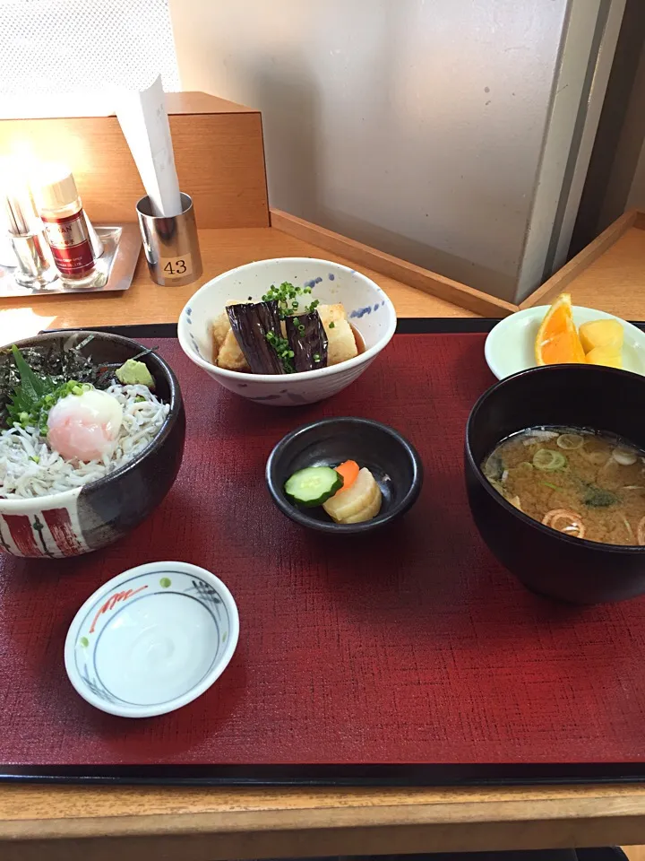 シラスまぐろ丼/茄子と豆腐揚げ出し/味噌汁|山内博之さん