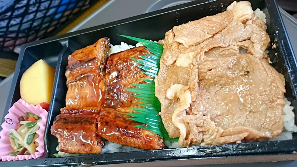 鹿児島うなぎ黒豚弁当 #駅弁|mayuさん