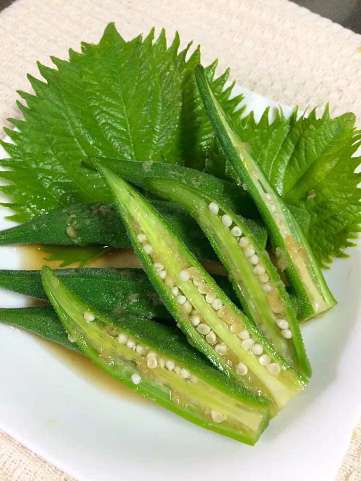 咲きちゃんさんの料理 オクラの山葵生姜漬け♪ さっぱりトロリン美味し♡|あまねこ🌿さん